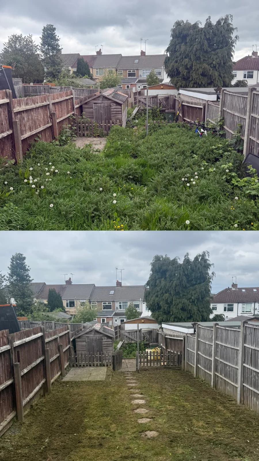 Before and after of an overgrown garden cleared and tidied by Akromis